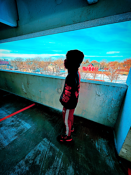 LLS Zip Hoodie (Red & Black)